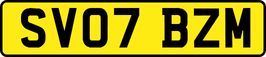 SV07BZM