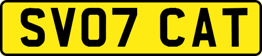 SV07CAT