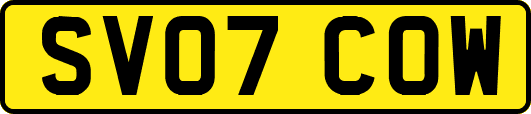 SV07COW