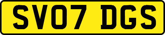 SV07DGS