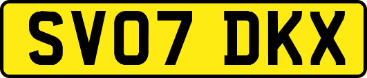 SV07DKX