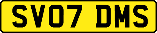SV07DMS