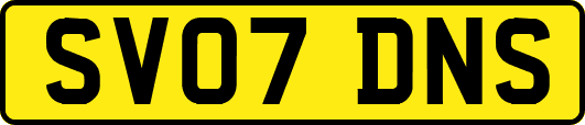 SV07DNS