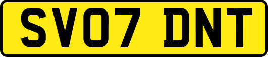 SV07DNT
