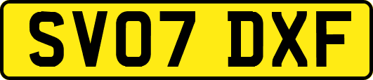 SV07DXF