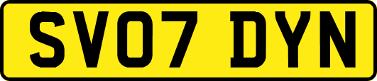 SV07DYN