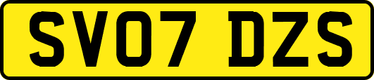 SV07DZS