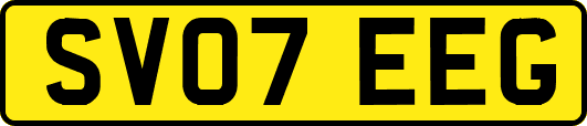 SV07EEG