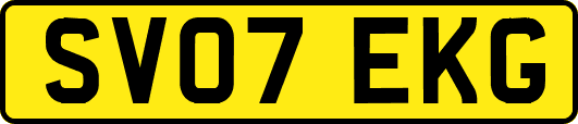 SV07EKG