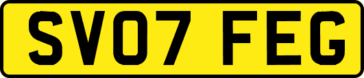 SV07FEG