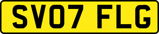 SV07FLG