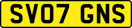 SV07GNS