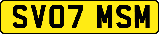 SV07MSM
