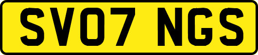 SV07NGS