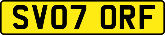 SV07ORF