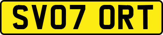 SV07ORT