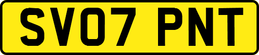 SV07PNT