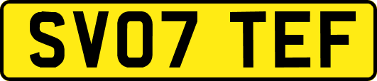 SV07TEF