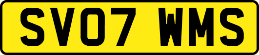 SV07WMS