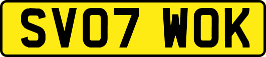 SV07WOK