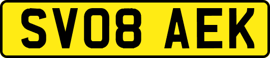 SV08AEK
