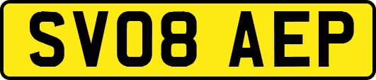 SV08AEP