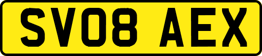 SV08AEX