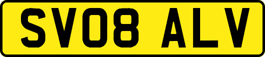 SV08ALV