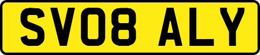 SV08ALY