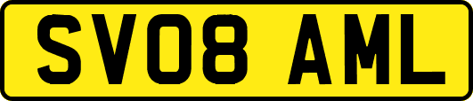 SV08AML