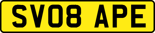 SV08APE