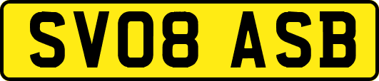 SV08ASB