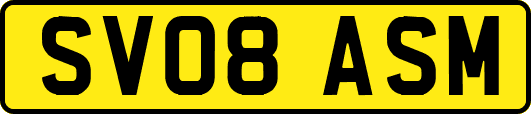 SV08ASM