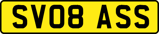 SV08ASS
