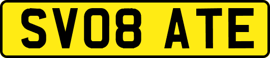 SV08ATE