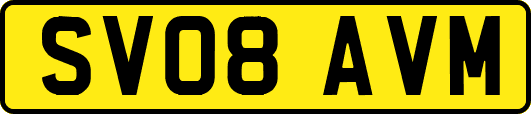 SV08AVM