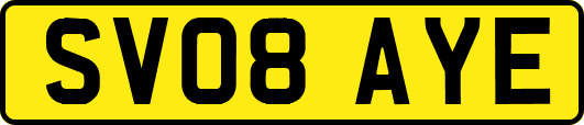 SV08AYE
