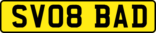 SV08BAD