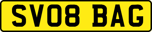 SV08BAG