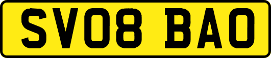SV08BAO