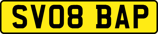 SV08BAP