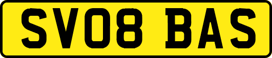 SV08BAS