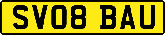 SV08BAU