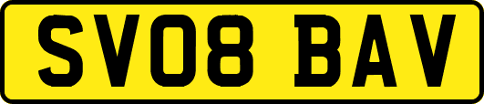 SV08BAV