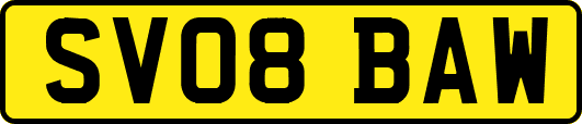 SV08BAW