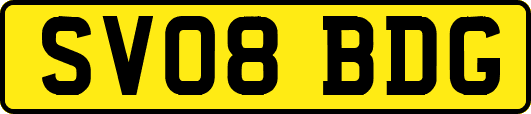 SV08BDG