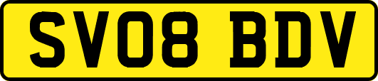 SV08BDV