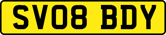 SV08BDY