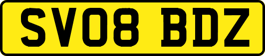 SV08BDZ