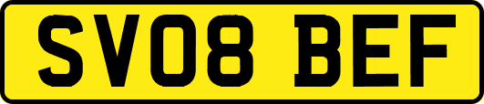 SV08BEF